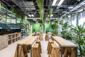 Life Library with living creatures