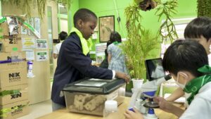 After-school club: caring for animals and plants