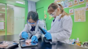 Elementary students conducting a bird dissection experiment