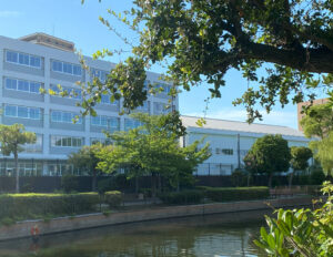 School over the park
