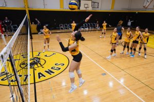 アメリカンスクール・イン・ジャパン