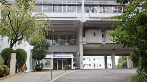 International School of the Sacred Heart